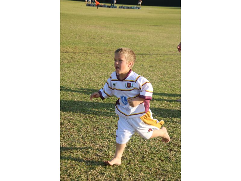 Flippie draf die veld op. 