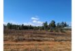 An open patch where the rugby field used to be.