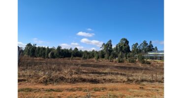 An open patch where the rugby field used to be.
