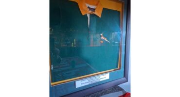Polla Fourie's framed jersey.