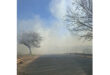 A road shrouded in thick white smoke, with bare winter trees on both sides. The sky is partly visible and blue, conveying a serene yet eerie atmosphere.