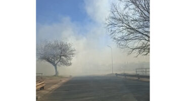 A road shrouded in thick white smoke, with bare winter trees on both sides. The sky is partly visible and blue, conveying a serene yet eerie atmosphere.