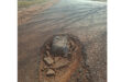 A large pothole filled with rocks on an asphalt road, casting shadows in the sunlight. The road appears worn and extends into the distance.