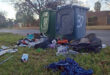 Overflowing green and blue garbage bins with trash scattered on the grass by a roadside. The scene conveys neglect in a suburban neighborhood.
