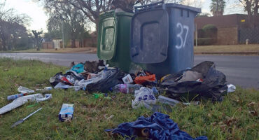 Overflowing green and blue garbage bins with trash scattered on the grass by a roadside. The scene conveys neglect in a suburban neighborhood.