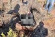 UBHETYAN MIDDELBURG RHINO POACHING, baby rhino, mpumalanga, poaching, rescue, ubhetyan