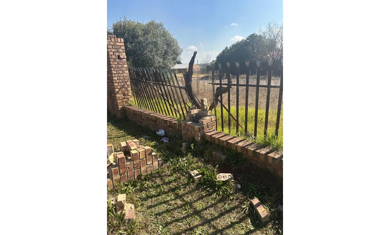 A collapsed fence.