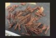 Visible policing operation lead to the discovery of 27 kg stolen copper cables. Photo: Middelburg SAPS.
