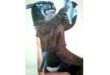 A big, soft stuffed animal rests on a chair, creating a playful atmosphere in the surrounding space.