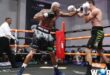 Two boxers engage in a competitive match inside a boxing ring, showcasing their athleticism and skill.