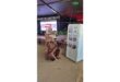 puma, lees, pienaarsdam,. 4 X 4 fees, middelburg