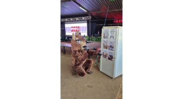 puma, lees, pienaarsdam,. 4 X 4 fees, middelburg