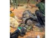 Baby rhino airlifted to safety after emergency Loskop rescue, middelbvurg, world rhino day, 22 september, mpumalanga, wewild africa, wild life vet, mtpa, rhino