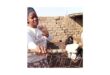 Beauty Nkabinde in her family's kraal, middelburg, goals, stock theft