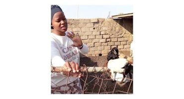Beauty Nkabinde in her family's kraal, middelburg, goals, stock theft