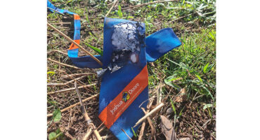 A blue and orange tie casually placed on green grass, showcasing its vibrant colors against the natural backdrop.
