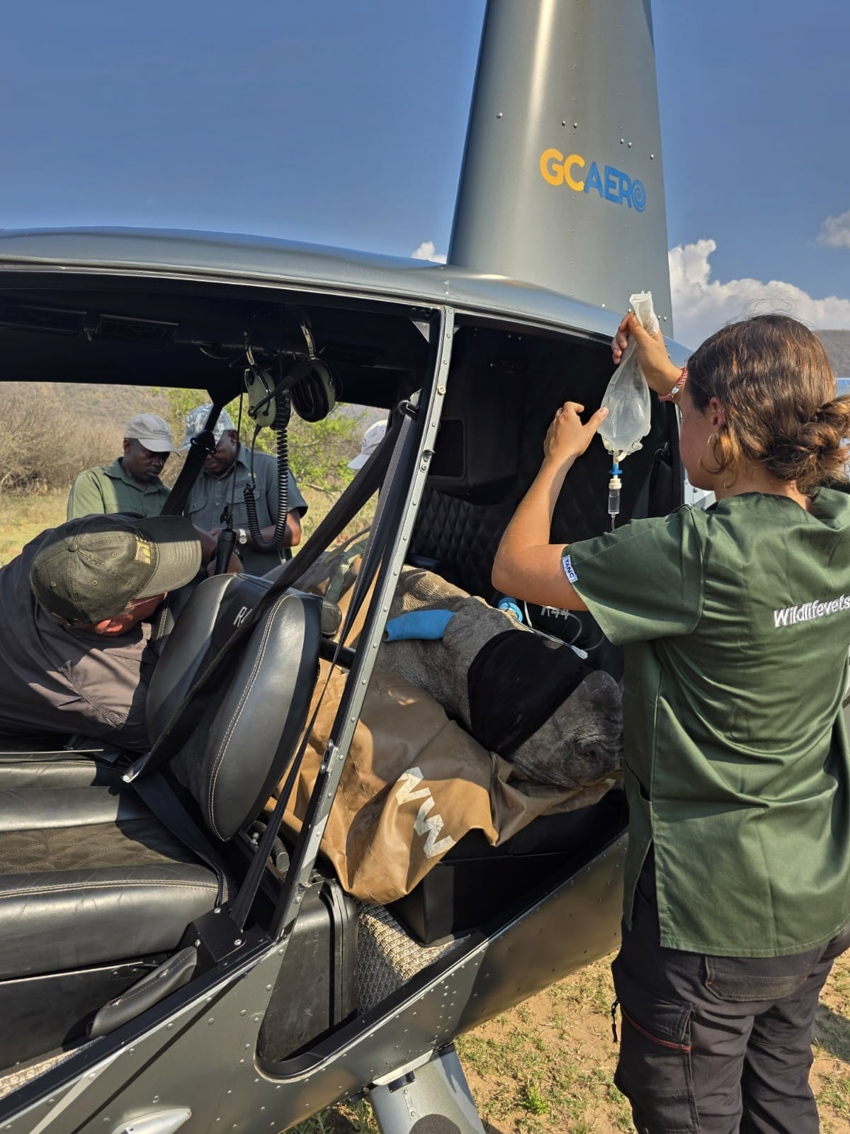 Baby rhino airlifted to safety after emergency Loskop rescue, middelbvurg, world rhino day, 22 september, mpumalanga, wewild africa, wild life vet, mtpa, rhino