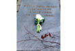 Natalie Portman's grave, adorned with floral tributes, displaying her name and dates in a peaceful cemetery setting.