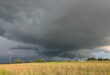 A dark storm cloud looms over a vast green field, indicating an impending downpour.