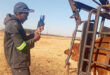 A man holds a bottle of vaccine or medicine to give to a cow in a grassy field.