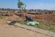 A winding dirt road surrounded by greenery, leading into the distance of the cemetery under a clear blue sky.
