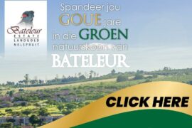 BATELEUR28NAT-01 BATELEUR28NAT-01