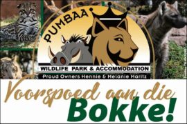 Pumbaa-TN-WK30ND Pumbaa-TN-WK30ND