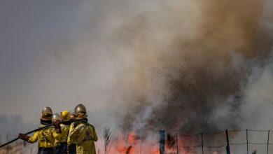 Working on Fire Firefighters