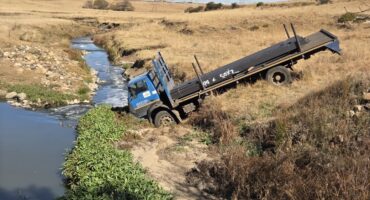 A truck ran down a steep hill after colliding with 3 cows.
