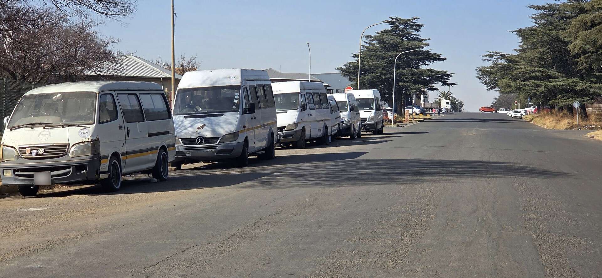 A line of white minibus taxis is parked along the side of a paved road under a clear blue sky. The road stretches into the distance, with trees and buildings visible on the right.