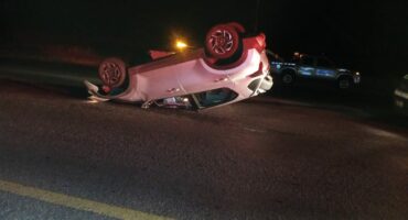 Opgeligte motor op die N2 naby Ermelo nadat dit met beeste gebots het