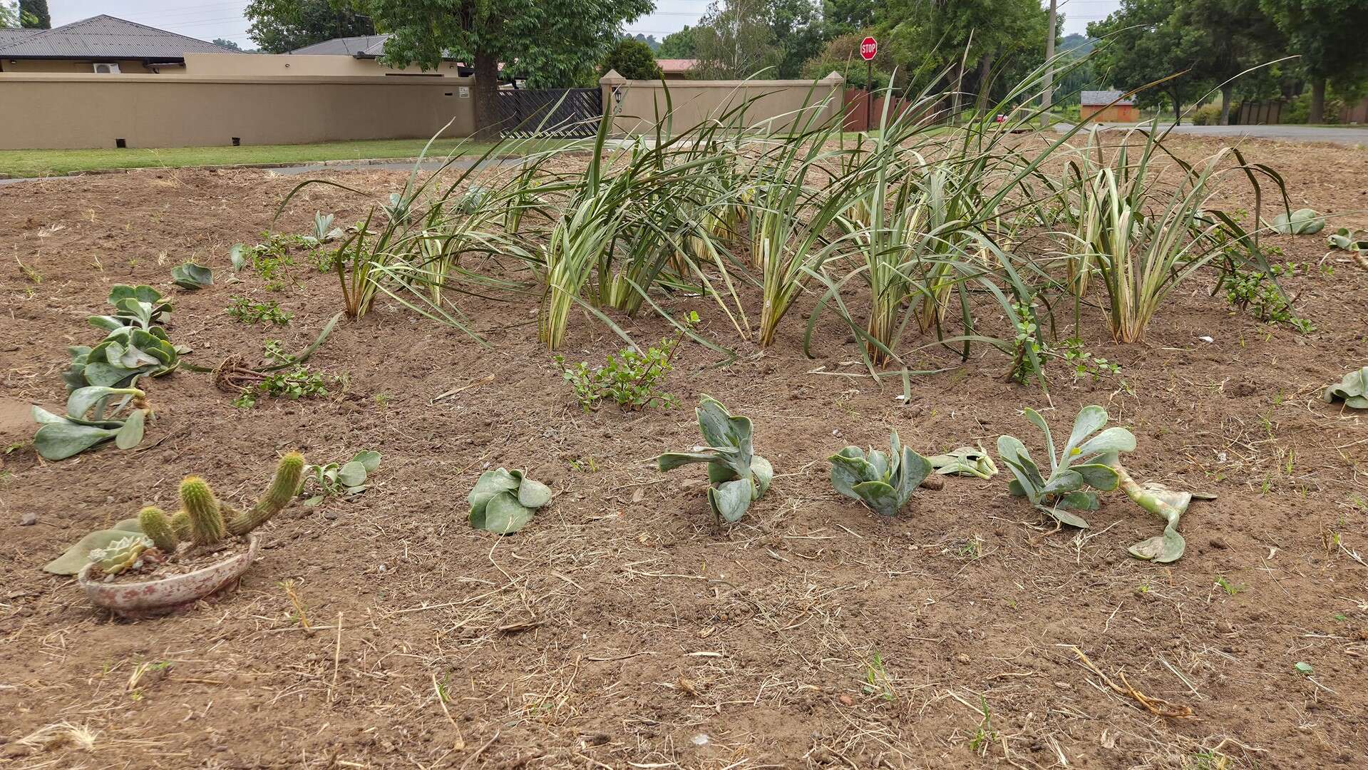Die eerste aanplantings in die Tuin van iets besonders in Ermelo is onlangs aangebringTitle: Eerste aanplantings in die tuin