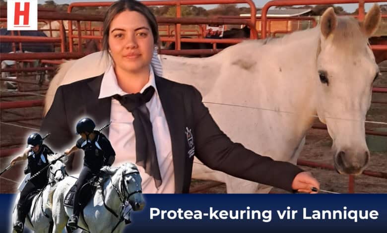 Saamgestelde beeld van Lannique Graham van Ligbron Akademie vir Tegnologie — saam met haar perd en in aksie tydens tentpegging.