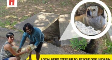 Angela van Huyssteen and Gareth Chetty with Apple, the rescued dog, after she was pulled from a stormwater drain in Ermelo.