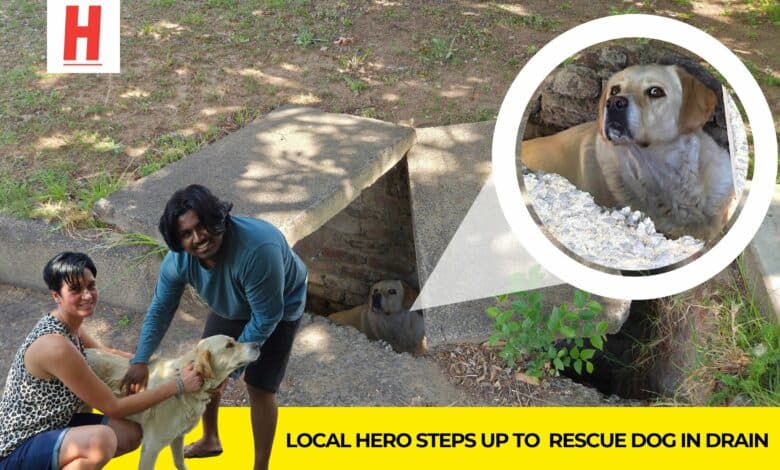 Angela van Huyssteen and Gareth Chetty with Apple, the rescued dog, after she was pulled from a stormwater drain in Ermelo.
