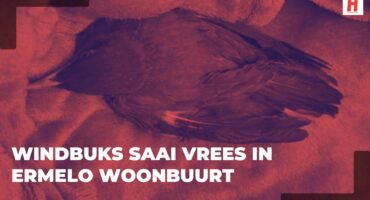 Rooi duotoon-beeld van ’n voël wat in ’n Ermelo-woonbuurt opgetel is, met die woorde “Windbuks saai vrees in Ermelo woonbuurt”