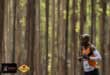 Conquerors Marathon Club runner passing a scenic plantation during the TWK Assegaai 3-in-1 Marathon in Mkhondo.
