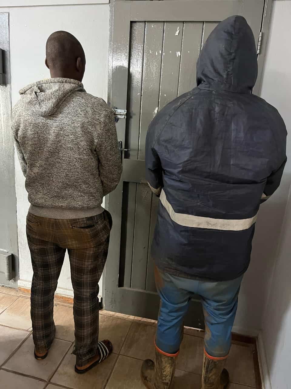 Two suspects escorted by police with backs turned to camera in Badplaas arrest