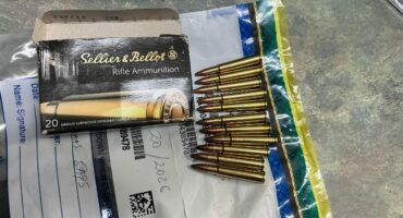 Eleven live rifle bullets seized by police in Badplaas investigation