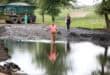 Inwoner wys waterdiepte in slaggat tydens padprotes Ermelo