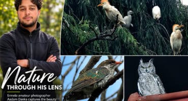 Amateur photographer Aadam Danka pictured alongside a selection of his bird and wildlife photographs.