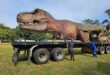 Massive animatronic T-Rex arriving at Ermelo event site