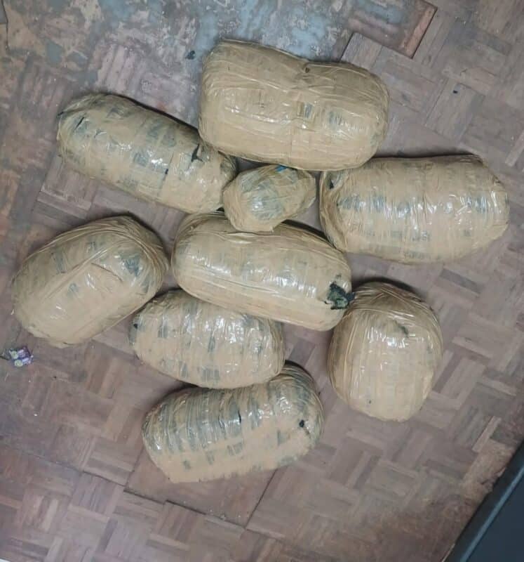 Confiscated dagga recovered during a joint SAPS and SANDF operation near Mahamba.
