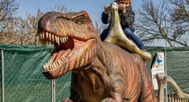 Children enjoying dinosaur-themed rides and attractions in Ermelo Title: Jurassic-themed rides entertain children