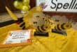 Ermelo English Primary School spelling bee trophies, decorations and a 2025 participation certificate.