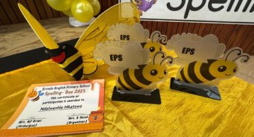Ermelo English Primary School spelling bee trophies, decorations and a 2025 participation certificate.