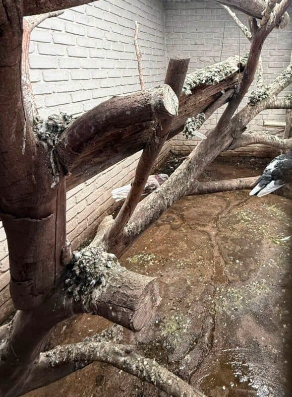 Bird enclosure at Dougie’s Pets and Garden Centre, as published by Ban Animal Trading.