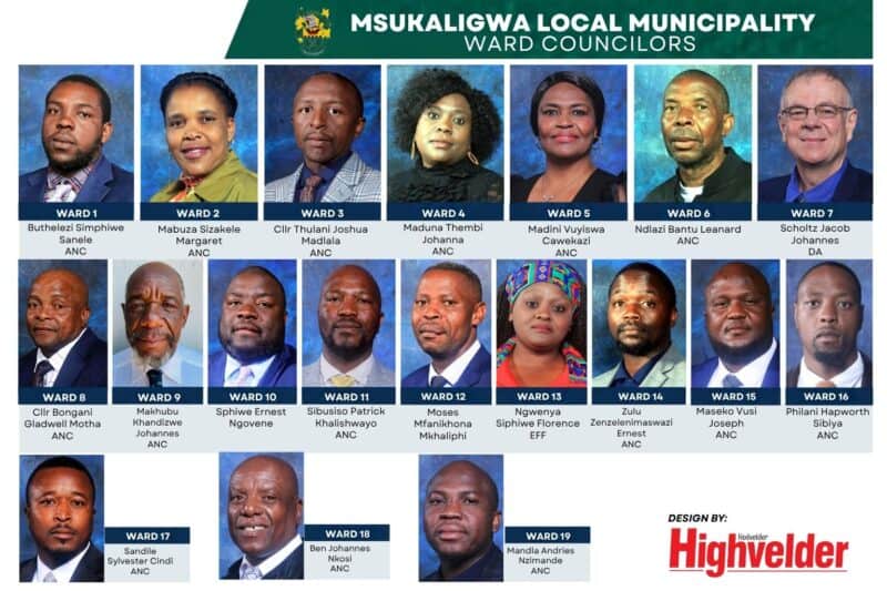 Msukaligwa Local Municipality ward councillors for Wards 1 to 19, with councillor names and ward numbers.