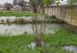 Standing water has accumulated beside the municipal houses.