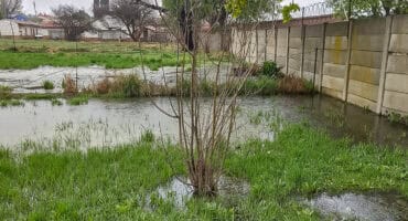 Standing water has accumulated beside the municipal houses.
